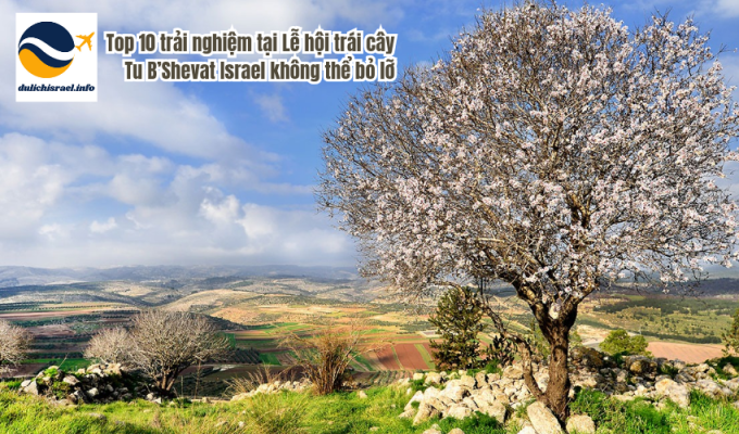 Top 10 trải nghiệm tại Lễ hội trái cây Tu B’Shevat Israel không thể bỏ lỡ